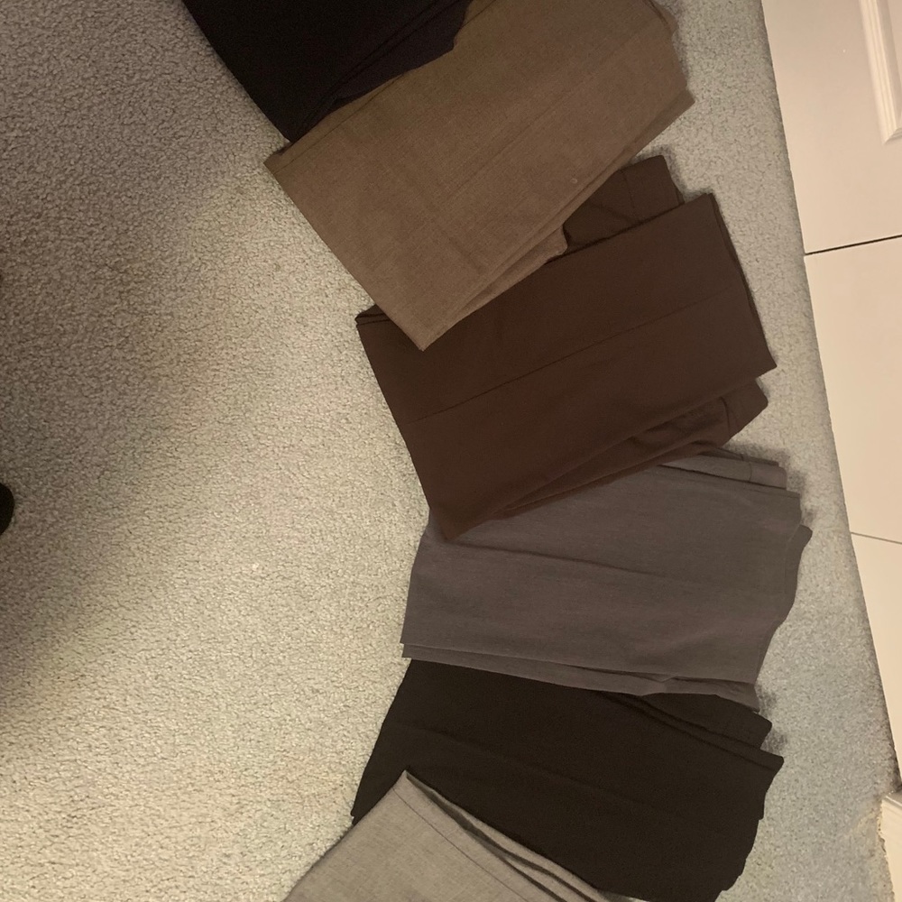 Dress Pants